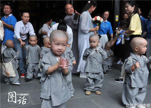 成都萌宝小沙弥